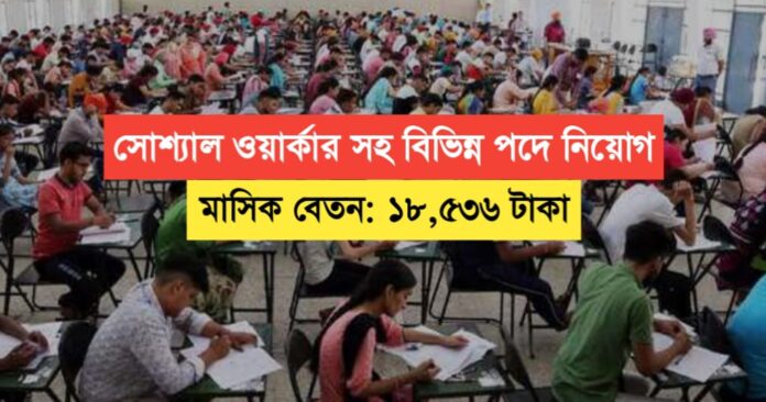 Social Worker including various posts Recruitment 2024