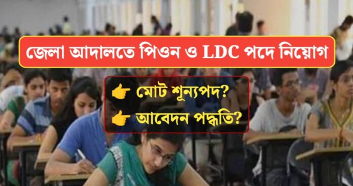 District Court Peon and LDC including various posts Recruitment 2024